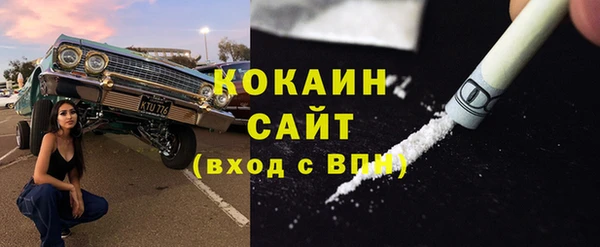 твердый Лагань