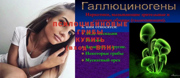твердый Лагань