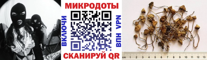 Купить Лангепас Псилоцибиновые грибы GOLDEN TEACHER